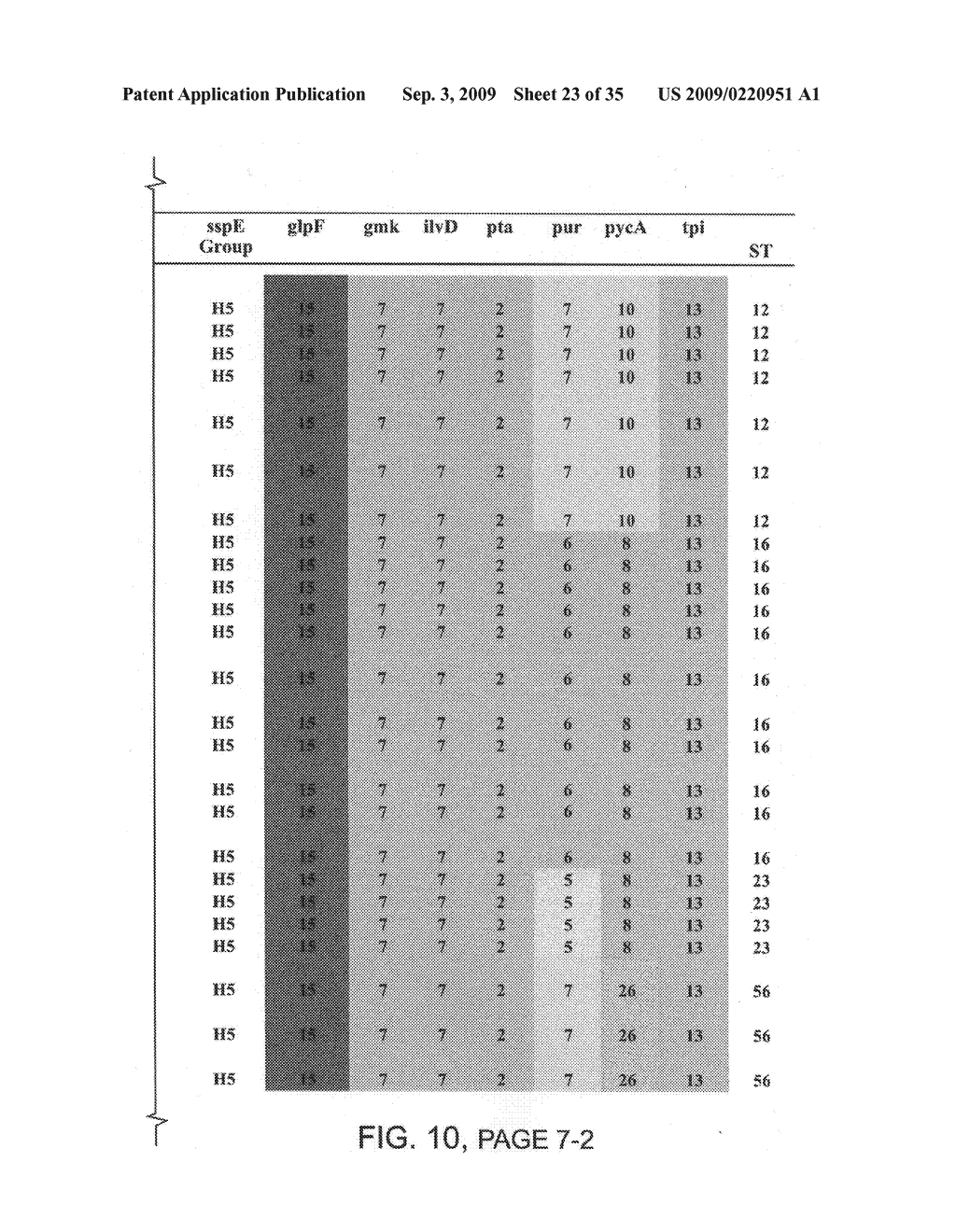 Methods and compositions for classifying bacillus bacteria - diagram, schematic, and image 24