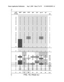 Methods and compositions for classifying bacillus bacteria diagram and image