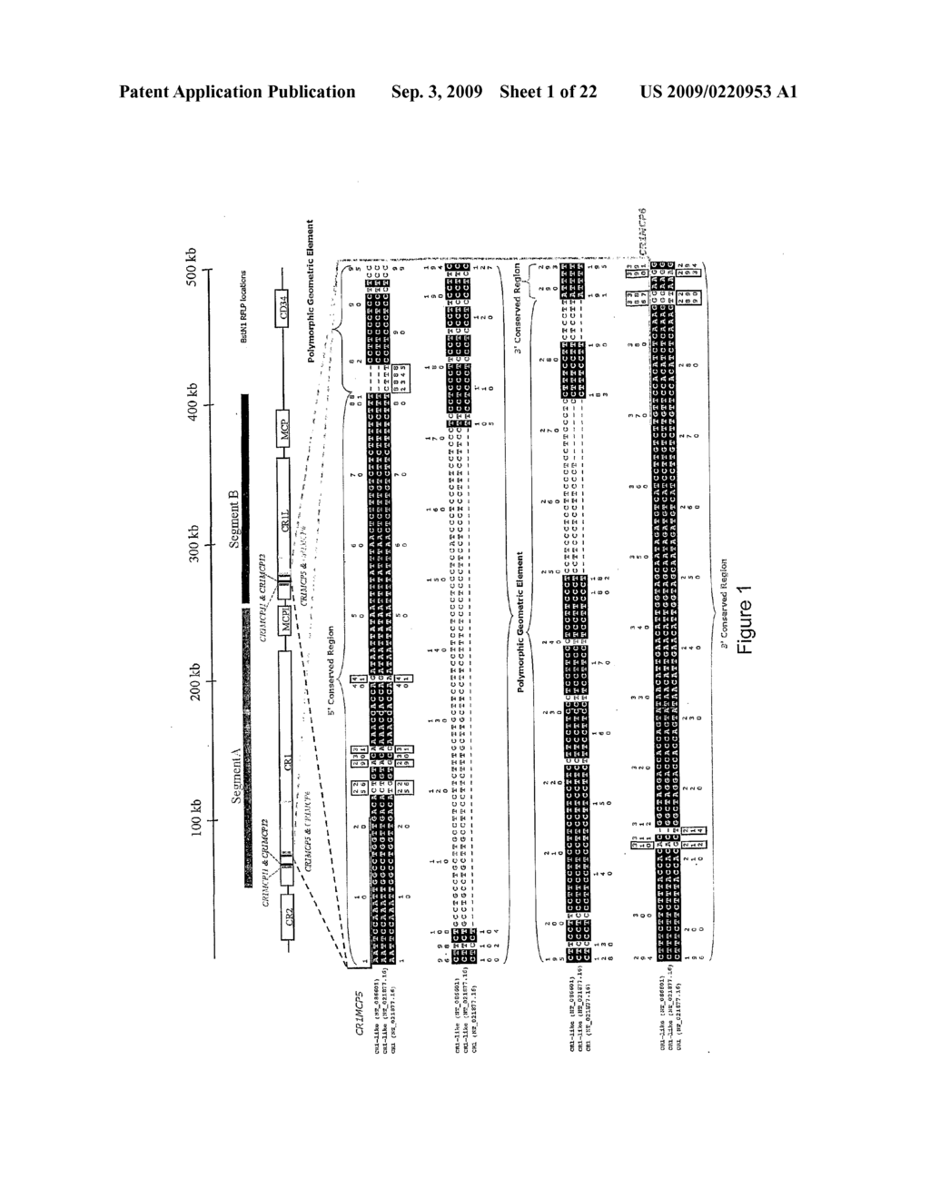 IDENTIFICATION OF ANCESTRAL HAPLOTYPES AND USES THEREOF - diagram, schematic, and image 02