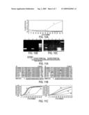 Fluorescent Primer System For Detection Of Nucleic Acids (Q Priming) diagram and image