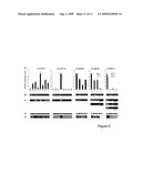 Identifying and quantifying small RNAs diagram and image