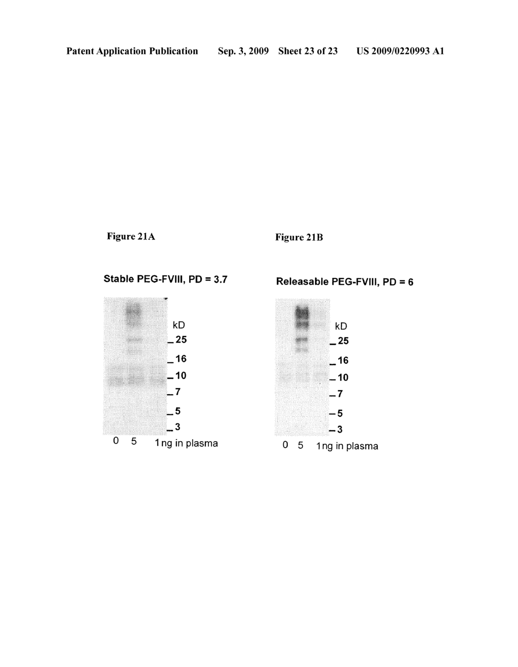 Method and Compositions for Specifically Detecting Physiologically Acceptable Polymer Molecules - diagram, schematic, and image 24