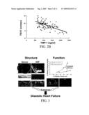 Detecting Diastolic Heart Failure by Protease and Protease Inhibitor Plasma Profiling diagram and image
