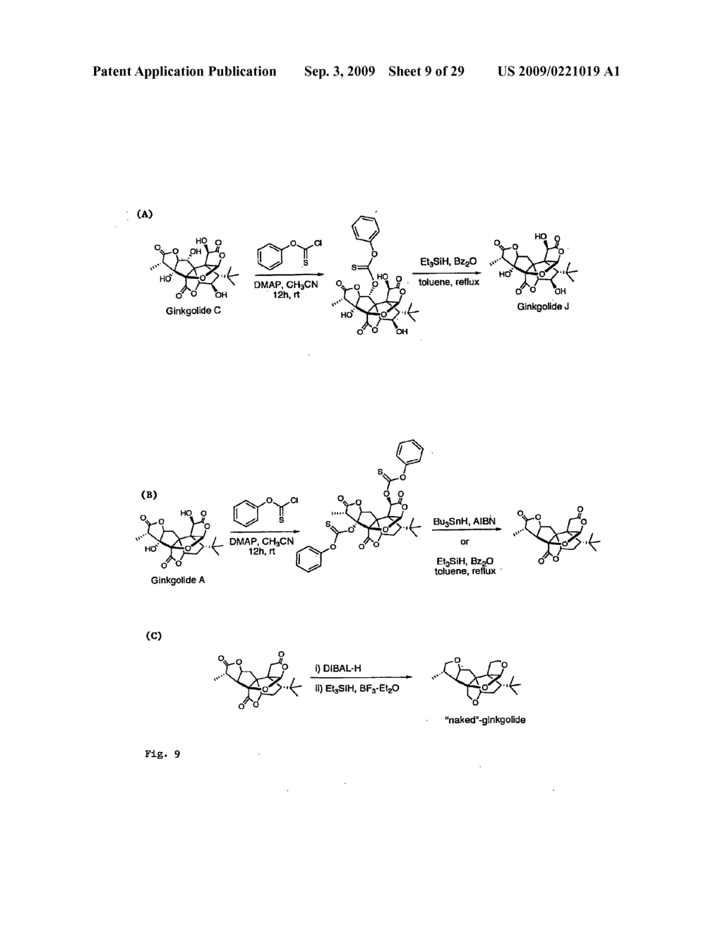 Core-Modified Terpene Trilactones From Ginkgo Biloba Extract and Biological Evaluation Thereof - diagram, schematic, and image 10