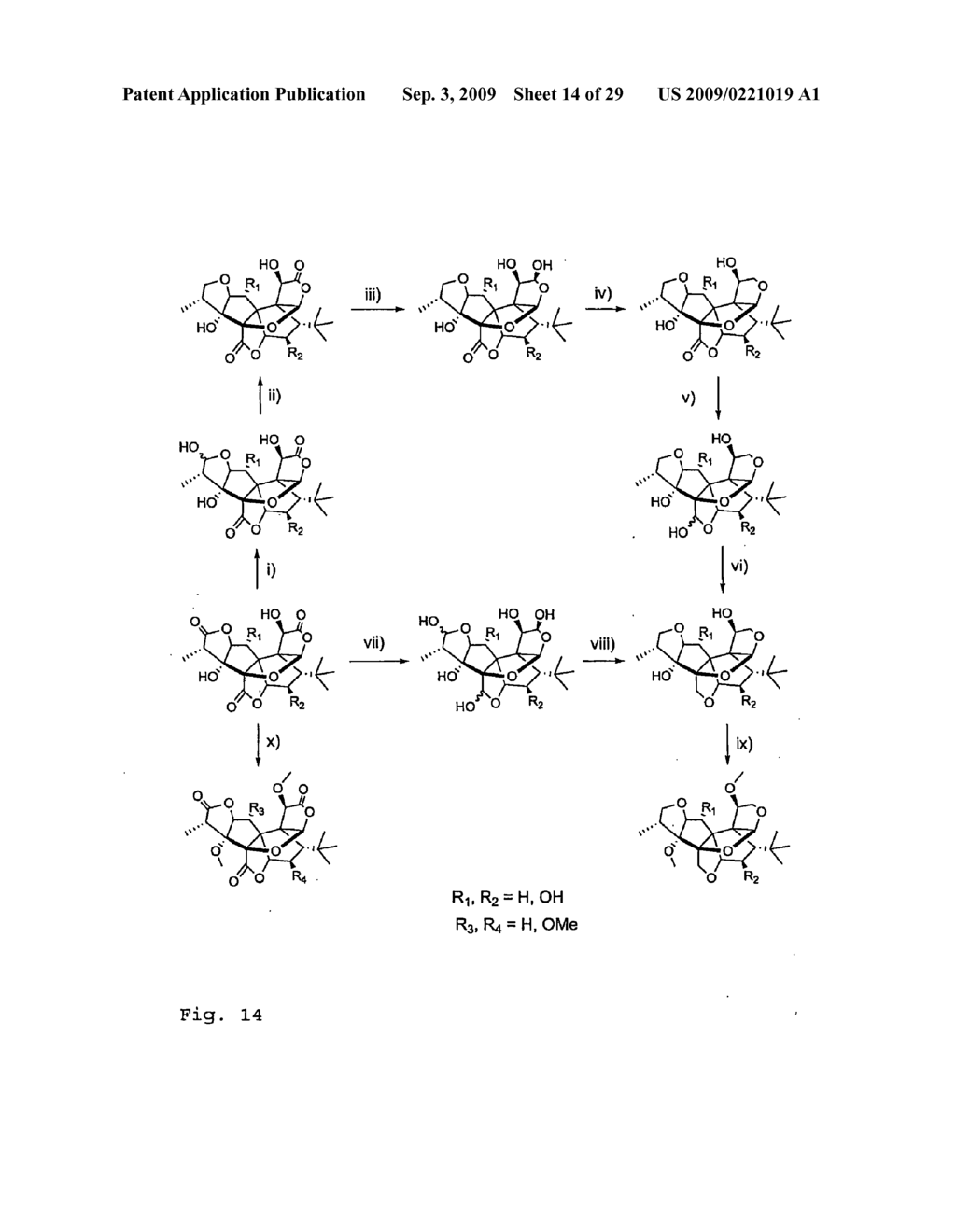 Core-Modified Terpene Trilactones From Ginkgo Biloba Extract and Biological Evaluation Thereof - diagram, schematic, and image 15