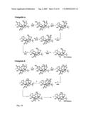 Core-Modified Terpene Trilactones From Ginkgo Biloba Extract and Biological Evaluation Thereof diagram and image