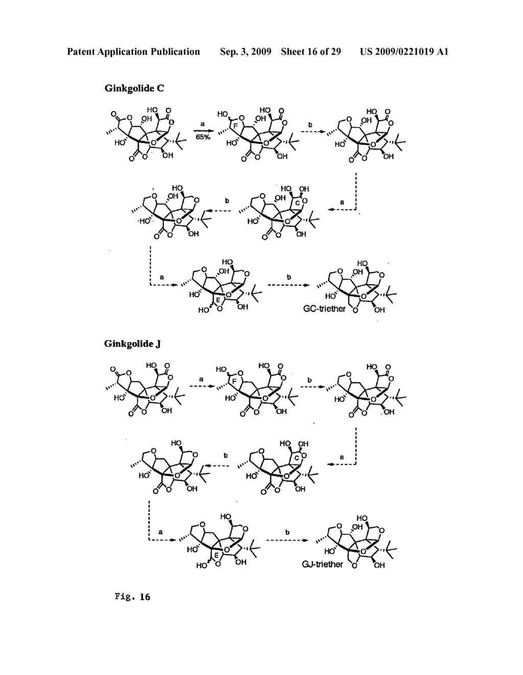 Core-Modified Terpene Trilactones From Ginkgo Biloba Extract and Biological Evaluation Thereof - diagram, schematic, and image 17