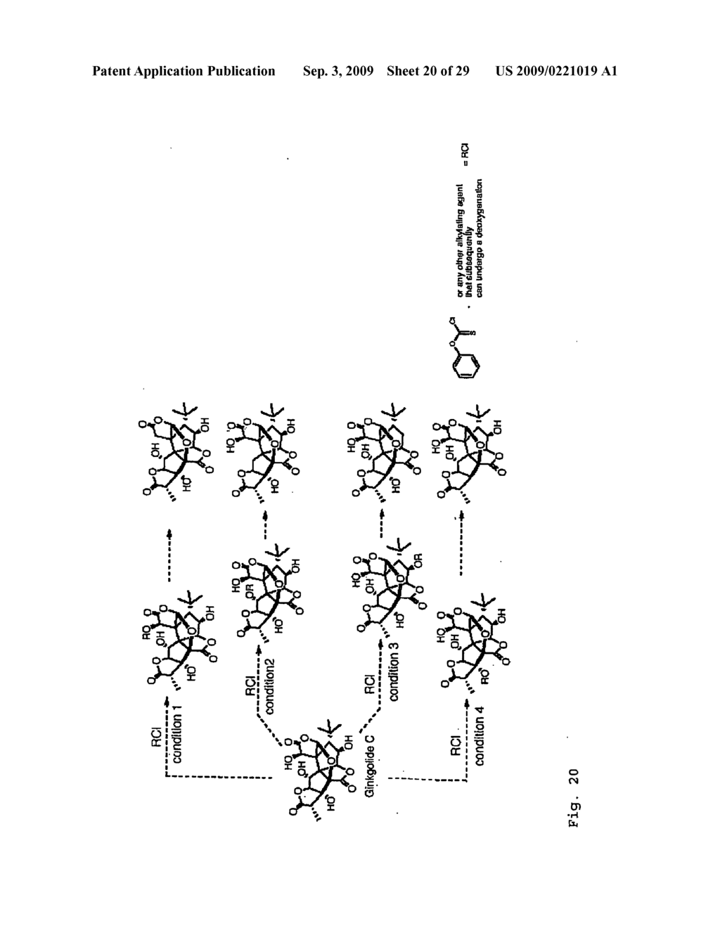 Core-Modified Terpene Trilactones From Ginkgo Biloba Extract and Biological Evaluation Thereof - diagram, schematic, and image 21