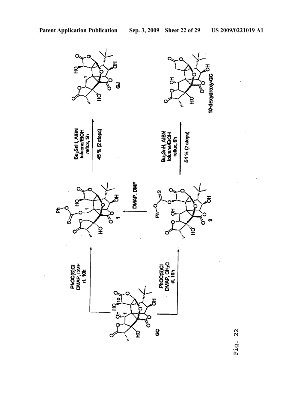 Core-Modified Terpene Trilactones From Ginkgo Biloba Extract and Biological Evaluation Thereof - diagram, schematic, and image 23