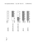 Novel Recombinant Human Hepatitis C Virus-Like Particle and Method for Producing the Same diagram and image