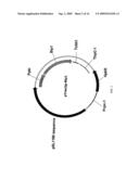 SIGNAL SEQUENCES AND CO-EXPRESSED CHAPERONES FOR IMPROVING PROTEIN PRODUCTION IN A HOST CELL diagram and image