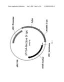 SIGNAL SEQUENCES AND CO-EXPRESSED CHAPERONES FOR IMPROVING PROTEIN PRODUCTION IN A HOST CELL diagram and image