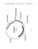 SIGNAL SEQUENCES AND CO-EXPRESSED CHAPERONES FOR IMPROVING PROTEIN PRODUCTION IN A HOST CELL diagram and image