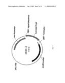 SIGNAL SEQUENCES AND CO-EXPRESSED CHAPERONES FOR IMPROVING PROTEIN PRODUCTION IN A HOST CELL diagram and image