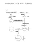 Fusion protein having the enhanced in vivo activity of erythropoietin diagram and image