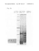 Fusion protein having the enhanced in vivo activity of erythropoietin diagram and image