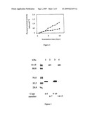 FUSION PROTEINS BETWEEN PLANT CELL-WALL DEGRADING ENZYMES AND A SWOLLENIN, AND THEIR USES diagram and image