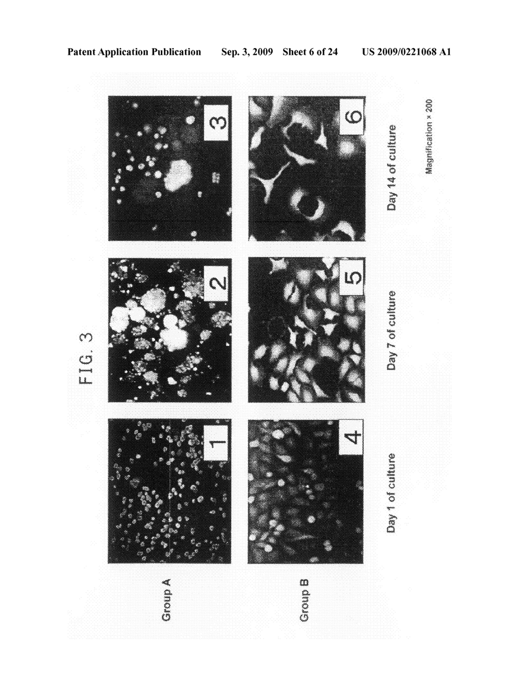 Cell Cultivation Method and Cell Culture - diagram, schematic, and image 07