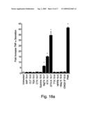 METHOD FOR AUGMENTING THE ABILITY OF T-CELLS AND OTHER CELLS FOR FIGHTING DISEASE AND INVADE DISEASED ORGANS, FOR ELEVATING CD3 ZETA AND TNF-ALPHA EXPRESSION IN T-CELLS, AND MIXING T-CELL BOOSTING AND KIT PARTICULARLY USEFUL IN SUCH METHOD diagram and image