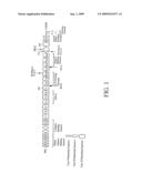 Process for producing cytotoxic lymphocytes diagram and image