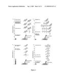 SMALL MOLECULE PRINTING diagram and image