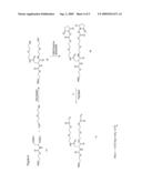 PRODRUGS OF VANCOMYCIN WITH HYDROLYSIS RESISTANT POLYMER LINKAGES diagram and image