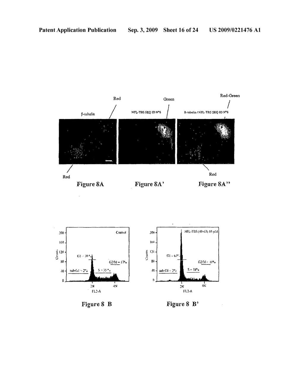 Peptide Capable of Altering Tubulin Polymerization and use Thereof for Inhibiting Cell Proliferation - diagram, schematic, and image 17