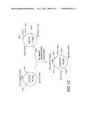 EXPRESSION OF ACTIVE HUMAN FACTOR IX IN MAMMARY TISSUE OF TRANSGENIC ANIMALS diagram and image