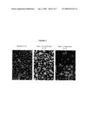 ODCASE INHIBITORS FOR THE TREATMENT OF MALARIA diagram and image