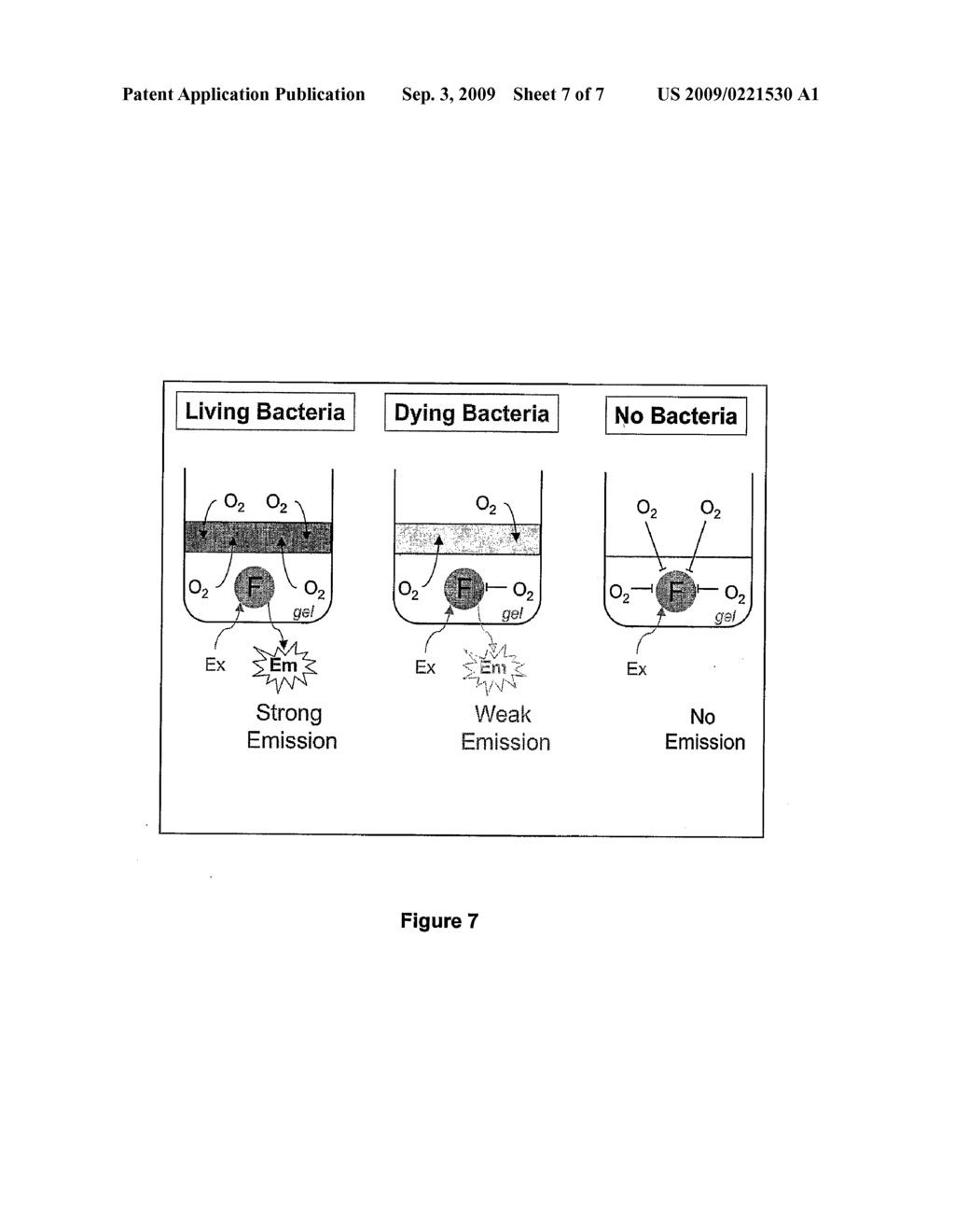 Relaxase Modulators and Methods of Using Same - diagram, schematic, and image 08