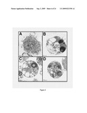 COMPOSITIONS FOR TREATMENT OF SYSTEMIC MASTOCYTOSIS diagram and image