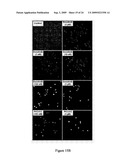 COMPOSITIONS FOR TREATMENT OF SYSTEMIC MASTOCYTOSIS diagram and image