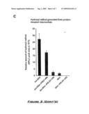 Use of Pyridoxamine to Treat and/or Prevent Disease Processes diagram and image