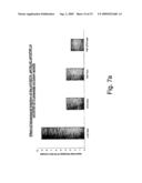 NUCLEIC ACID CONSTRUCTS, PHARMACEUTICAL COMPOSITIONS AND METHODS OF USING SAME FOR TREATING CANCER diagram and image