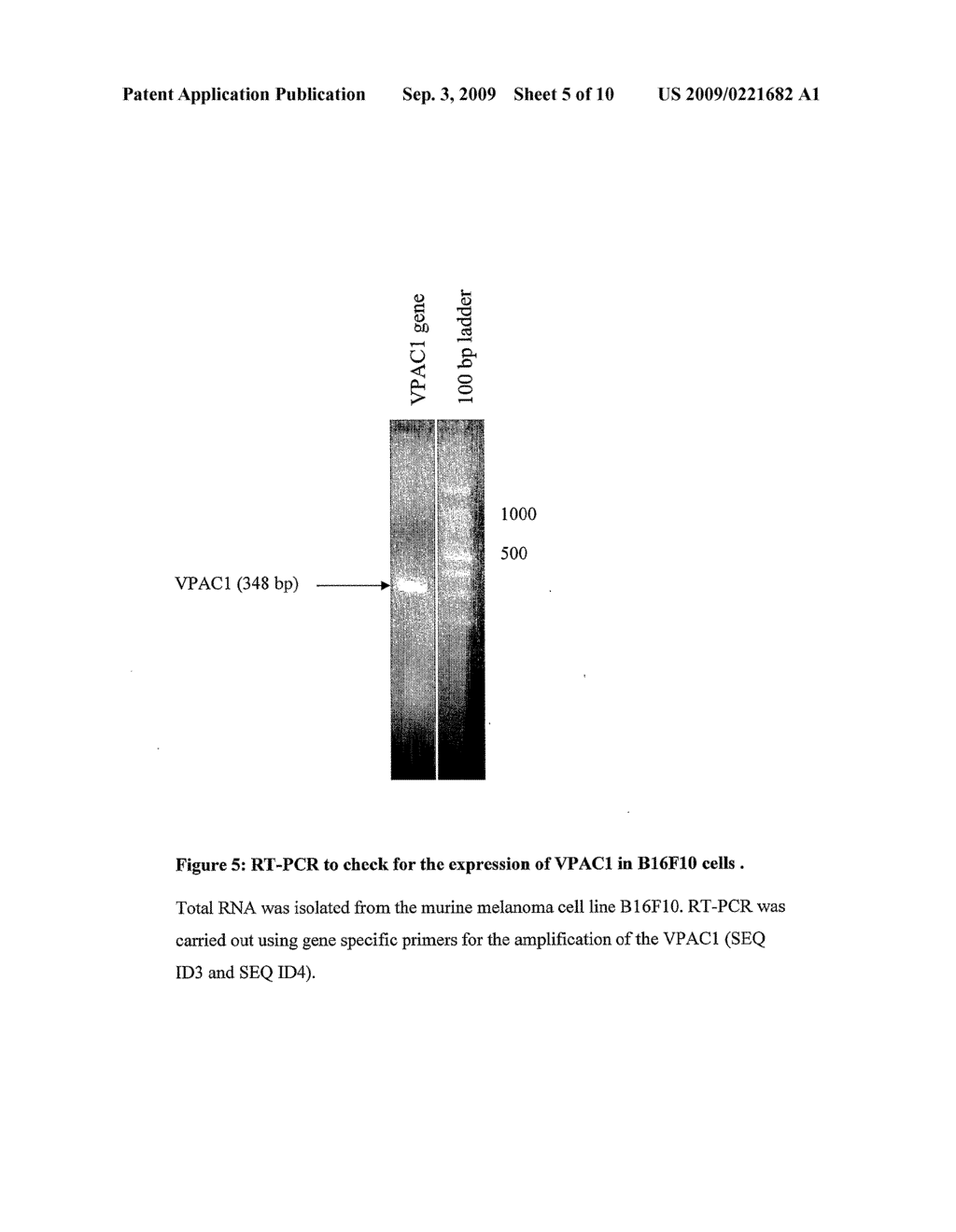 DNA Vaccine for Cancer Therapy - diagram, schematic, and image 06