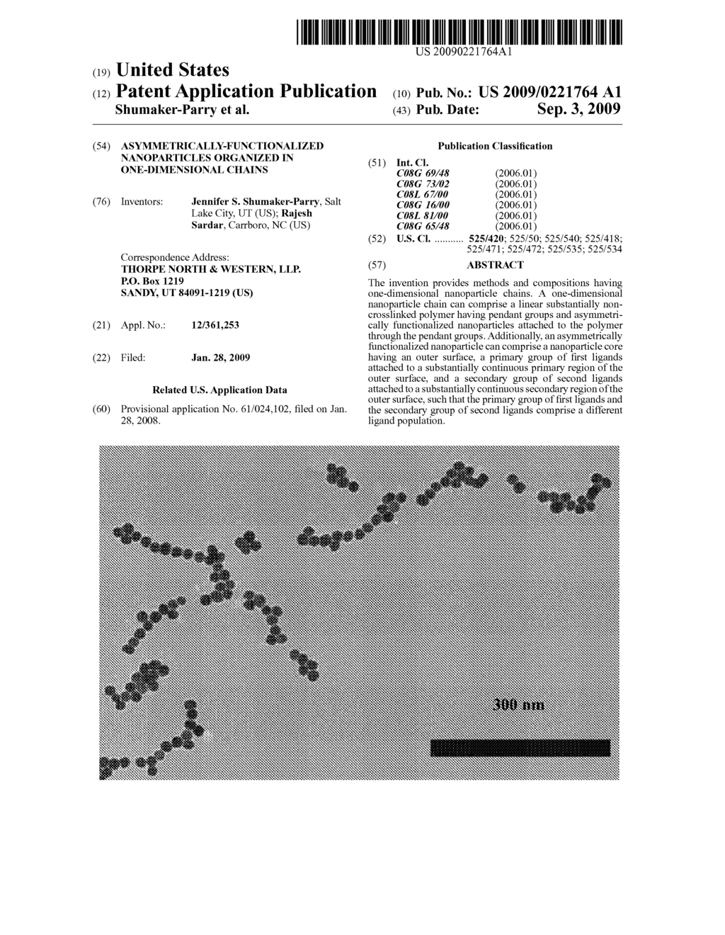 Asymmetrically-Functionalized Nanoparticles Organized in One-Dimensional Chains - diagram, schematic, and image 01