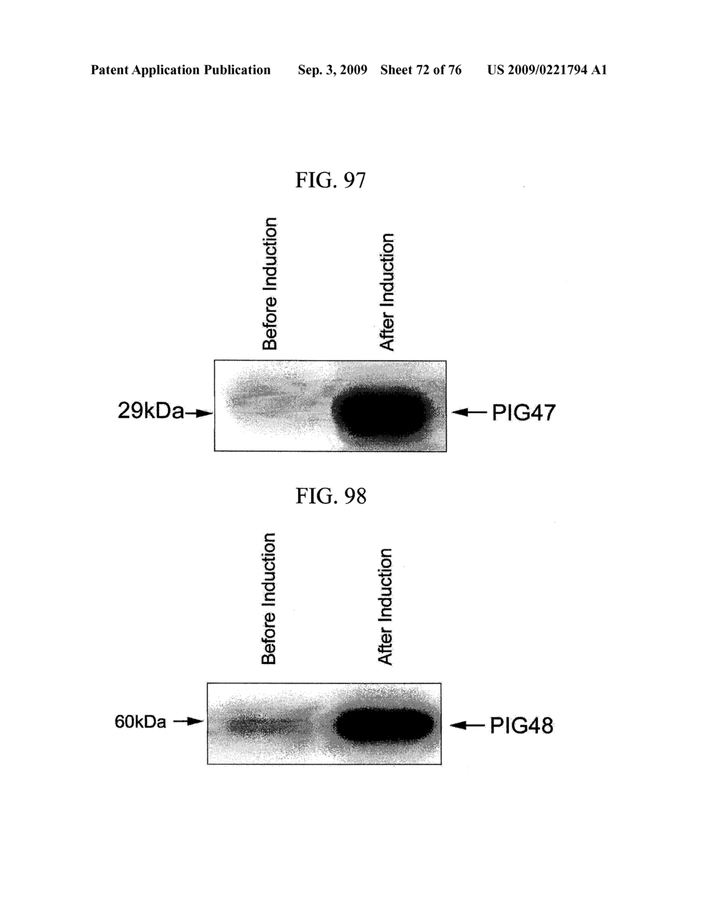 Human Protooncogene and Protein Encoded By Same - diagram, schematic, and image 73