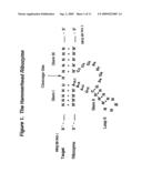 2  Deoxy-2 -Alkylnucleotide Containing Nucleic Acid diagram and image