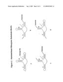 2  Deoxy-2 -Alkylnucleotide Containing Nucleic Acid diagram and image