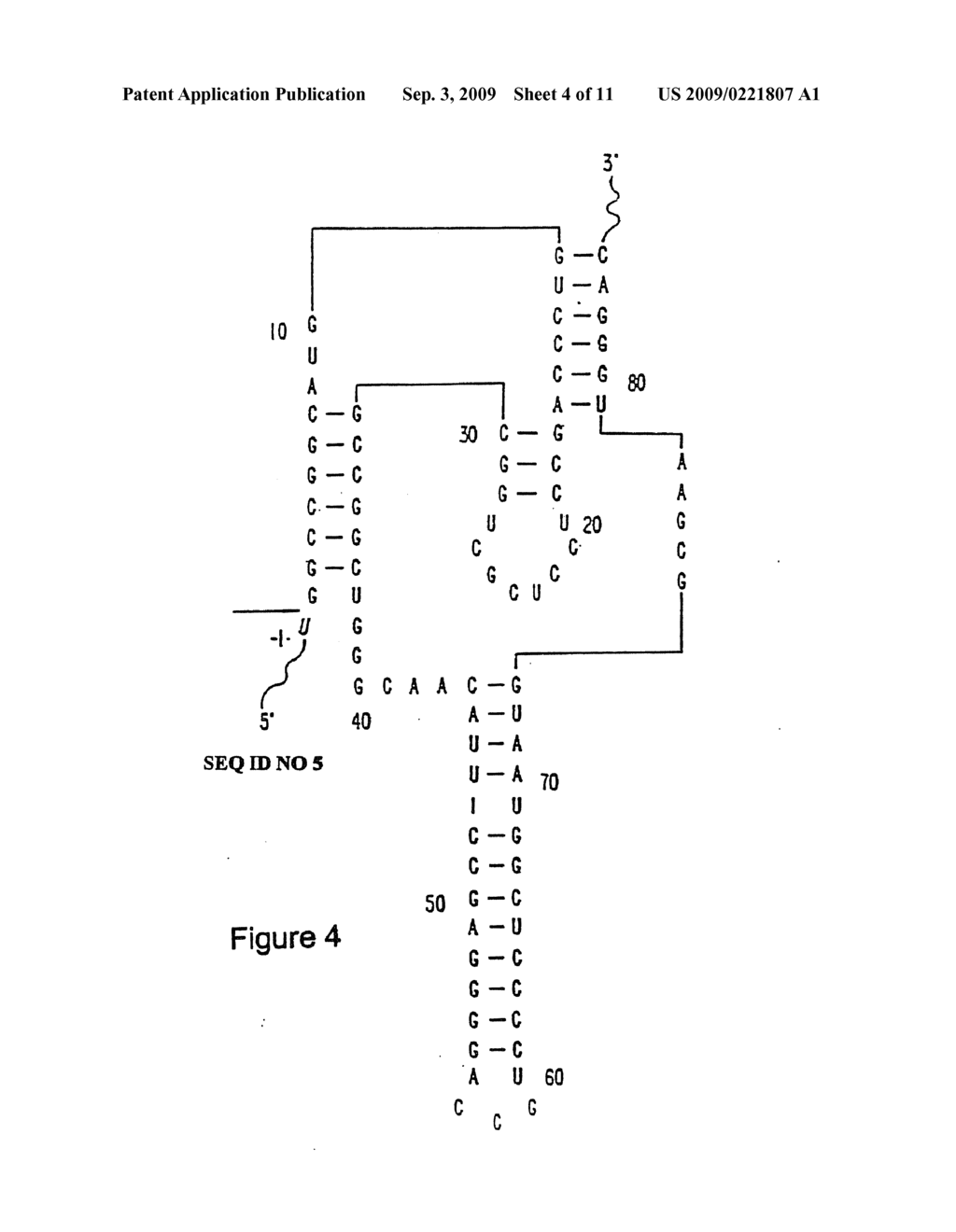 2' Deoxy-2'-Alkylnucleotide Containing Nucleic Acid - diagram, schematic, and image 05