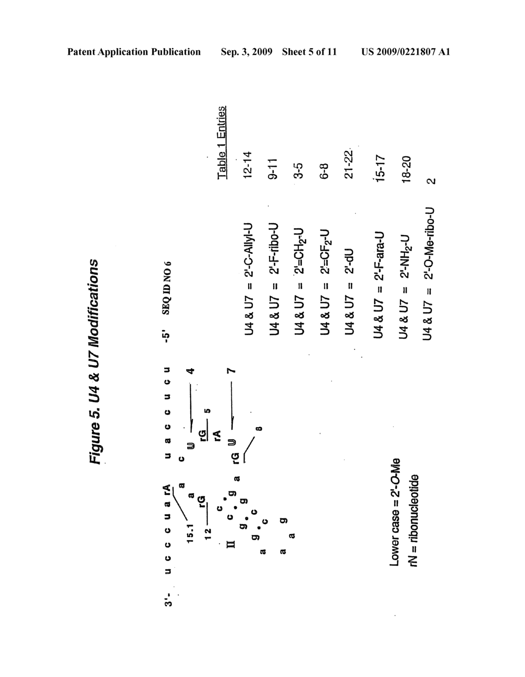 2' Deoxy-2'-Alkylnucleotide Containing Nucleic Acid - diagram, schematic, and image 06