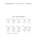 2  Deoxy-2 -Alkylnucleotide Containing Nucleic Acid diagram and image