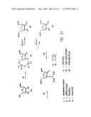2  Deoxy-2 -Alkylnucleotide Containing Nucleic Acid diagram and image
