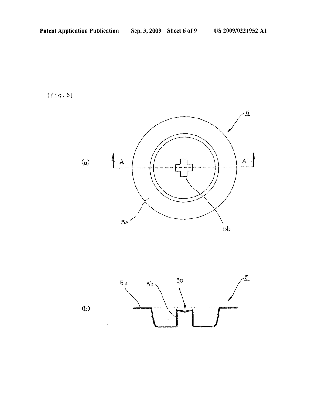 Device for Transdermal Preparation - diagram, schematic, and image 07