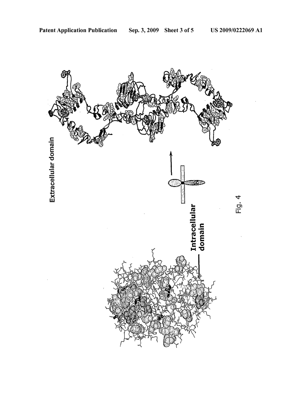 LIGHT MODULATION OF CELL FUNCTION - diagram, schematic, and image 04