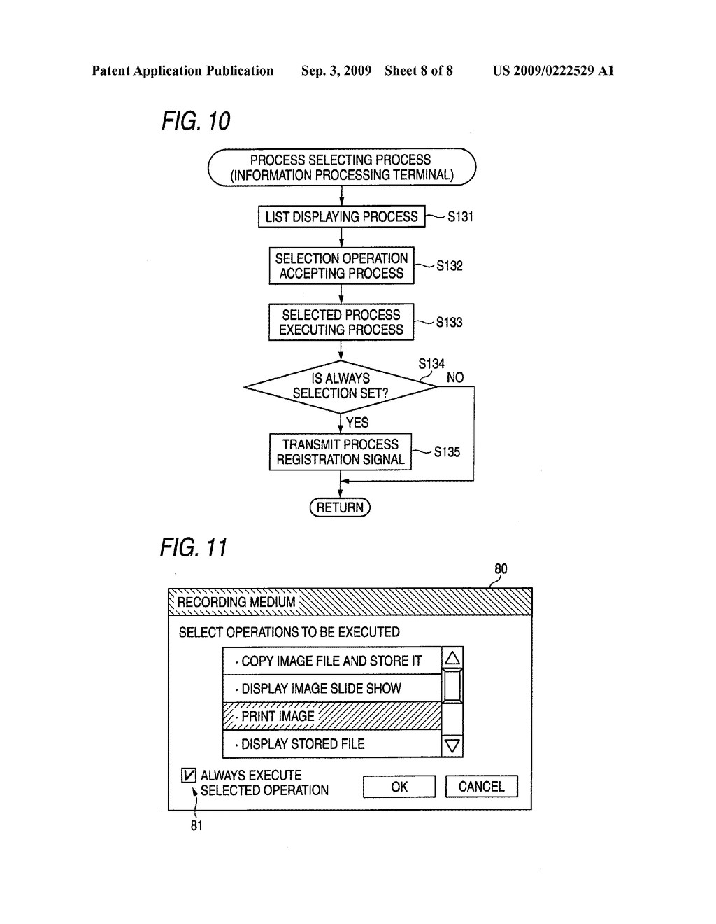Information Processing System, Information Processing Terminal, and Computer Readable Medium - diagram, schematic, and image 09
