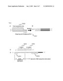 Marker for Selecting an Aphanomyces Cochlioides-Resistant Variety and Selection Method Therefor diagram and image