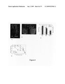 Method for modifying plant morphology, biochemistry and physiology diagram and image