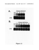 Method for modifying plant morphology, biochemistry and physiology diagram and image