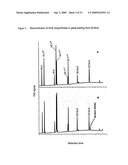 Method for producing polyunsaturated fatty acids in transgenic plants diagram and image